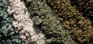 Bindmiddeltechnologie